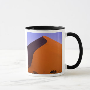 Afrika, Namibië, Namib NP, Sossusvlei, Zand Mok