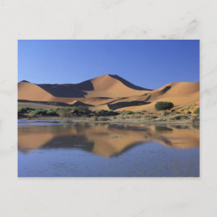 Afrika, Namibië, Nationaal Park Namib, Sossusvlei  Briefkaart