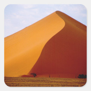 Afrika, Namibië, Naukluft National Park, 2 Vierkante Sticker