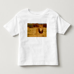 Afrika, Namibië, Okonjima. Eenzame mannelijke leeu Kinder Shirts