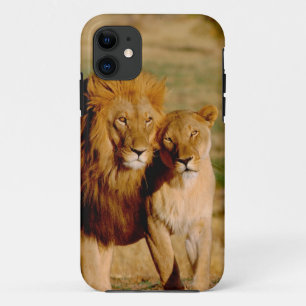 Afrika, Namibië, Okonjima. Leeuw & leeuwin iPhone 11 Hoesje