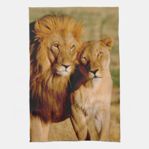 Afrika, Namibië, Okonjima. Leeuw & leeuwin Theedoek