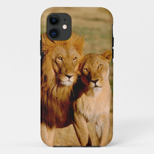 Afrika, Namibië, Okonjima. Leeuwen en leeuwen Case-Mate iPhone Case (Achterkant)