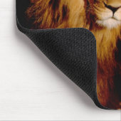 Afrika, Namibië, Okonjima. Leeuwen en leeuwen Muismat (Hoek)