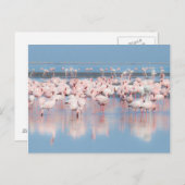 Afrika, Namibië, Walvis Bay Briefkaart (Voorkant / Achterkant)