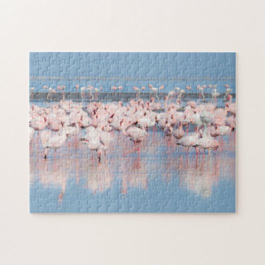 Afrika, Namibië, Walvis Bay Legpuzzel (Horizontaal)