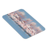 Afrika, Namibië, Walvis Bay Magneet (Rechterzijde)