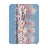 Afrika, Namibië, Walvis Bay Magneet (Verticaal)