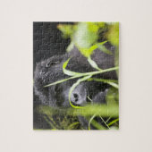 Afrika, Oeganda, Bwindi Legpuzzel (Verticaal)