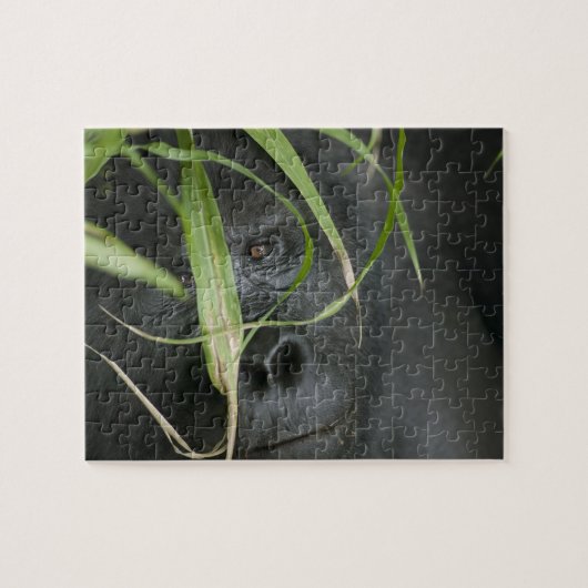Afrika, Oeganda, Bwindi Legpuzzel (Horizontaal)