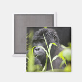 Afrika, Oeganda, Bwindi Magneet (Voorkant / Achterkant)