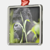 Afrika, Oeganda, Bwindi Metalen Ornament (Links)