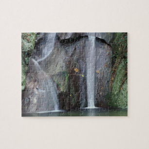 Afrika, Oeganda, Bwindi ondoordringbaar regenwoud, Legpuzzel