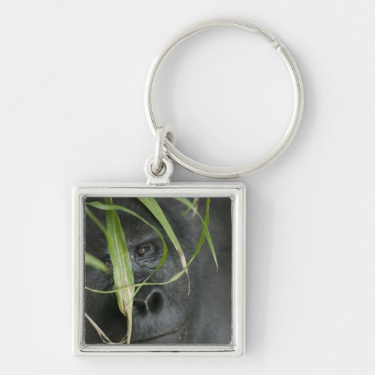 Afrika, Oeganda, Bwindi Sleutelhanger (Voorkant)