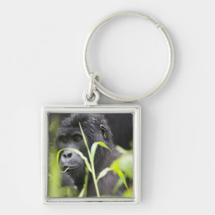 Afrika Oeganda, Bwindi Sleutelhanger