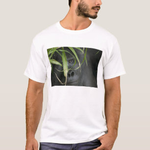 Afrika, Oeganda, Bwindi T-shirt