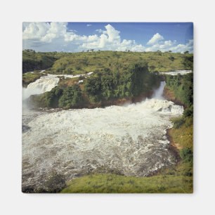 Afrika, Oeganda, Nationaal park Murchison Falls. H Magneet