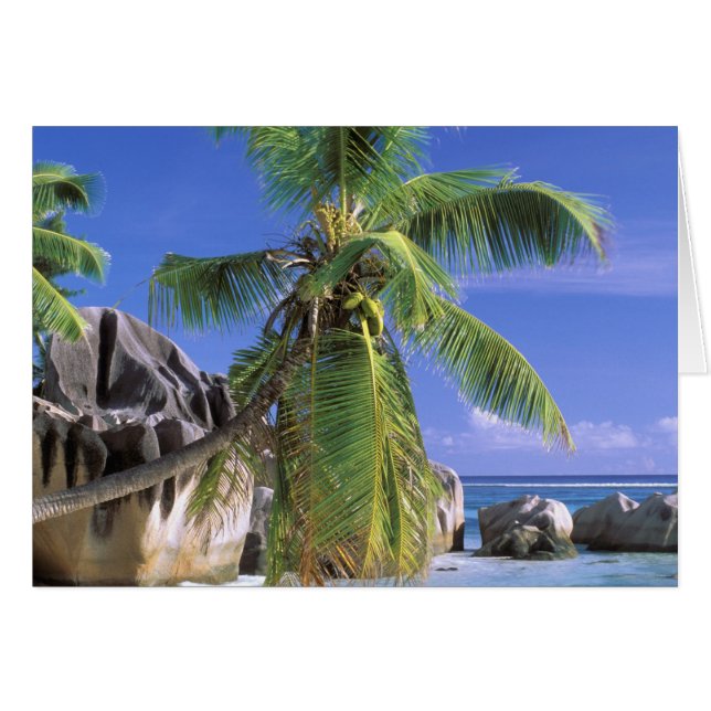 Afrika, Seychellen, La Digue-eiland. Graniet 2 (Voorkant Horizontaal)