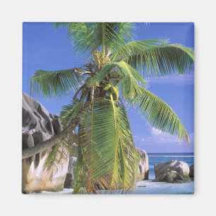 Afrika, Seychellen, La Digue-eiland. Graniet 2 Magneet