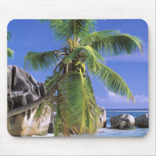 Afrika, Seychellen, La Digue-eiland. Graniet 2 Muismat