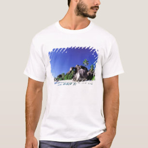 Afrika, Seychellen, La Digue eiland. Graniet 3 T-shirt