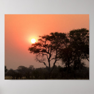Afrika Sunset Trees Natuur Landschappen Skies Poster