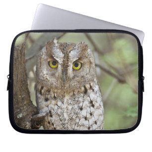Afrika. Tanzania. Afrikaanse dwergooruil bij Taran Laptop Sleeve