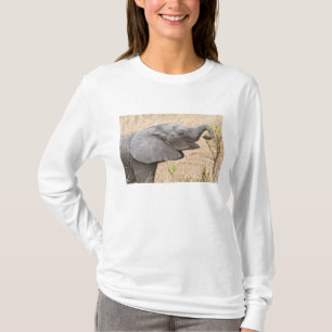 Afrika. Tanzania. Jonge olifant bij Tarangire T-shirt