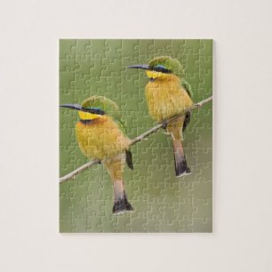 Afrika. Tanzania. Kleine Bijeneters bij Manyara Legpuzzel