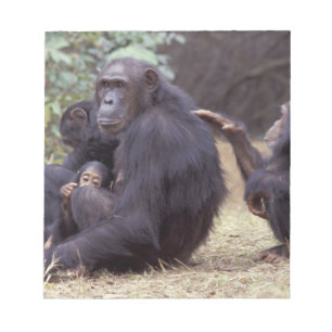 Afrika, Tanzania, Nationaal park Gombe jonge vrouw Notitieblok