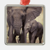 Afrika, Tanzania, Nationaal Park Tarangire. 2 Metalen Ornament (Voorkant)