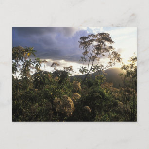 Afrika, Tanzania, Ngorongoro-beschermingsgebied, Briefkaart