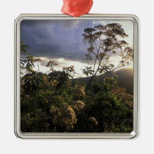 Afrika, Tanzania, Ngorongoro Conservation Area, Metalen Ornament