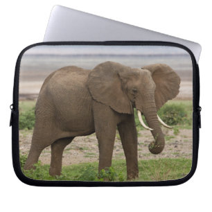 Afrika. Tanzania. Olifant bij Nationaal Park Lake Laptop Sleeve