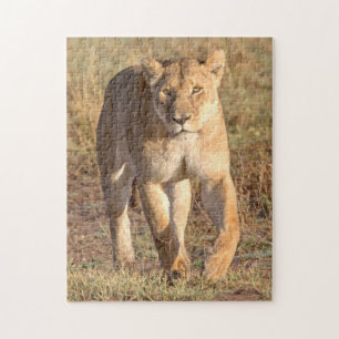 Afrika, Tanzania, Serengeti. Leeuw en Leeuwin Legpuzzel