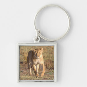 Afrika, Tanzania, Serengeti. Leeuw en Leeuwin Sleutelhanger