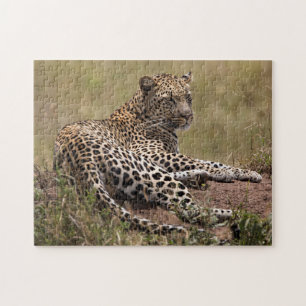 Afrika, Tanzania, Serengeti. Luipaard Legpuzzel