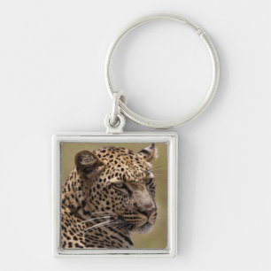 Afrika, Tanzania, Serengeti. Luipaard Sleutelhanger