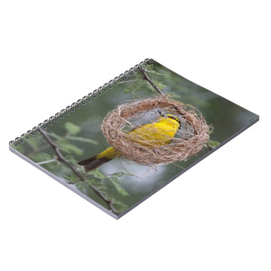 Afrika. Tanzania. Vrouw Black-Necked Weaver Notitieboek (Linkerzijde)