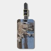 Afrika. Tanzania. Zebras drink bij Ndutu Bagagelabel (Voorkant verticaal)