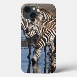 Afrika. Tanzania. Zebras drinkend bij Ndutu iPhone 13 Hoesje