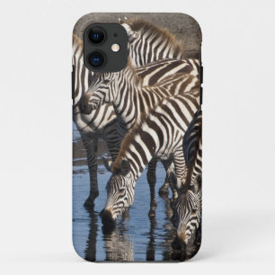 Afrika. Tanzania. Zebras drinkend bij Ndutu iPhone 11 Hoesje