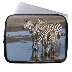 Afrika. Tanzania. Zebras drinkend bij Ndutu Laptop Sleeve