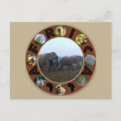 Afrika Wildlife Cirkel Elephant Herd Mist Briefkaart (Voorkant)