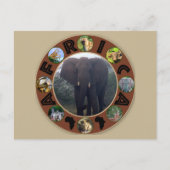 Afrika Wildlife Cirkel Elephant Mist Briefkaart (Voorkant)