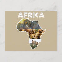 Afrika Wildlife Continent Collage