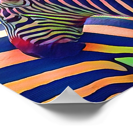 Afrika zebra zwart wit poster (Hoek)