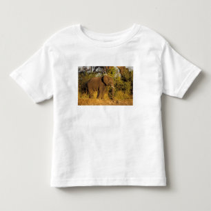 Afrika, Zimbabwe, Nationaal Park Victoriawatervall Kinder Shirts