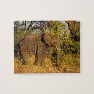 Afrika, Zimbabwe, Nationaal Park Victoriawatervall Legpuzzel