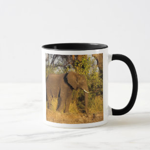 Afrika, Zimbabwe, Nationaal Park Victoriawatervall Mok